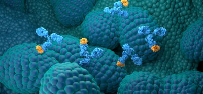 Microscopic illustration of antibodies binding selectively to the surface of plasma cells, representing targeted immunotherapy in multiple myeloma and related plasma cell disorders