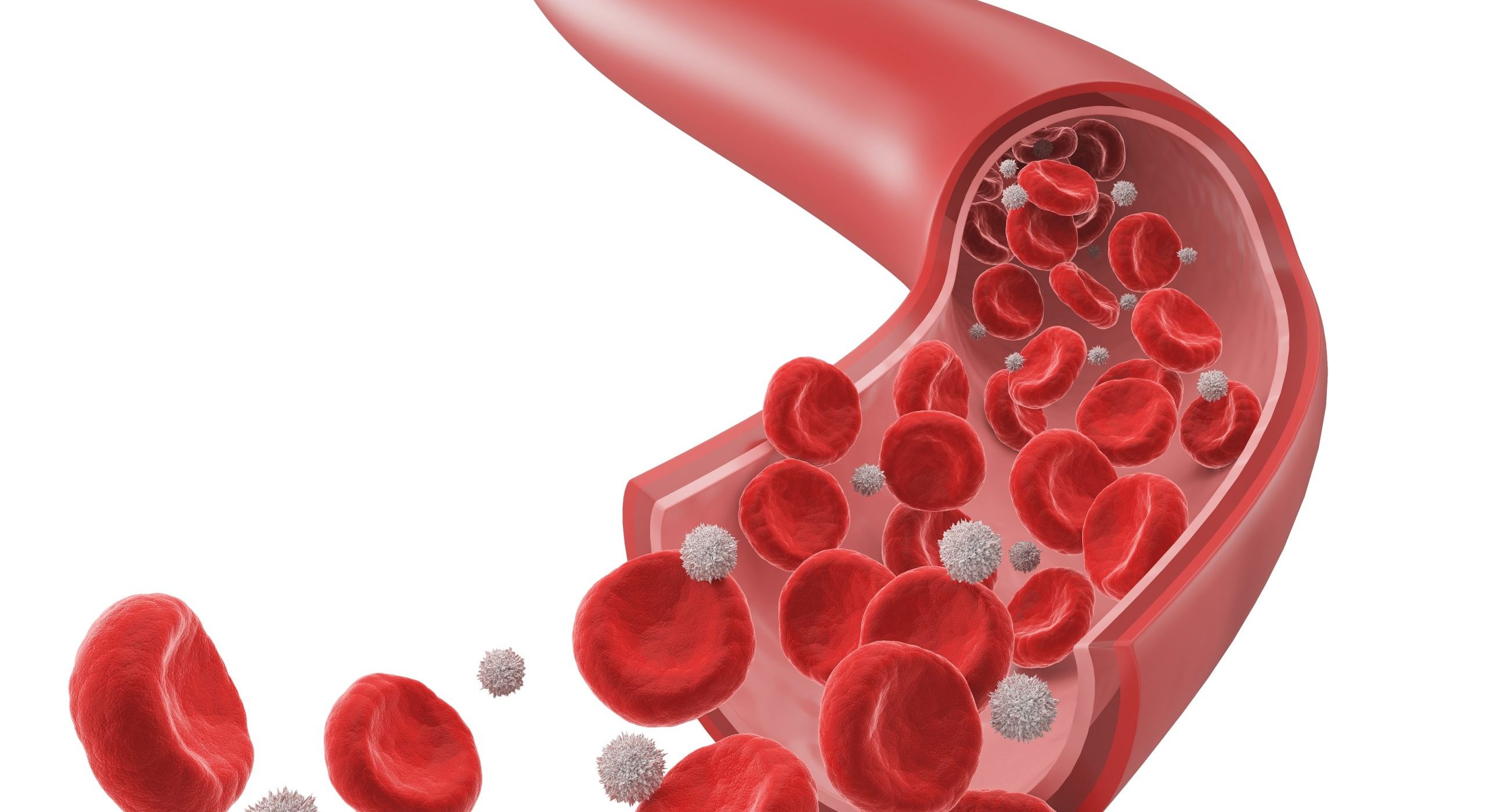 Engineering realistic blood vessels to fight vascular disease