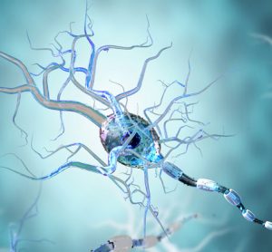 Protective responses appear weaker in neural stem cells from Huntington disease patients
