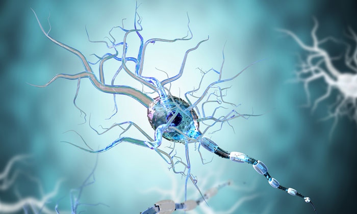 Protective responses appear weaker in neural stem cells from Huntington disease patients