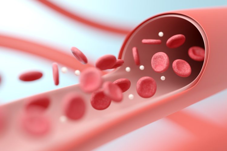 Blood flow through a vessel. 