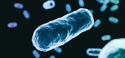 3D illustration of drug-resistant bacteria under a microscope, showing a close-up of a single bacterium with a digital circuit-like overlay symbolising artificial intelligence and biotechnology.