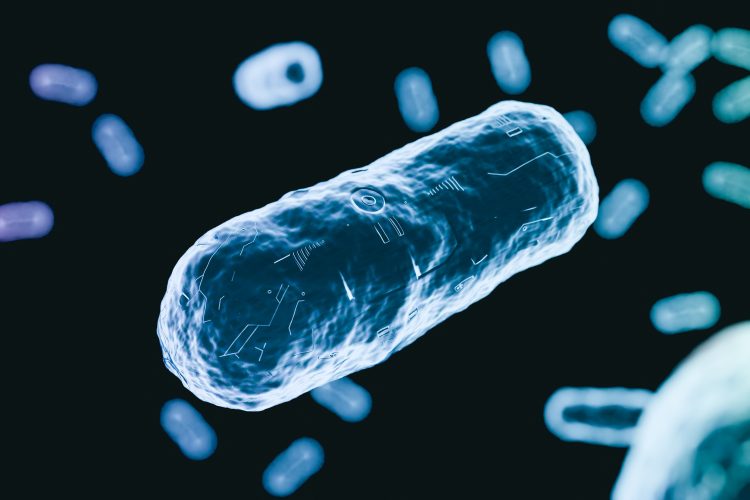 3D illustration of drug-resistant bacteria under a microscope, showing a close-up of a single bacterium with a digital circuit-like overlay symbolising artificial intelligence and biotechnology.