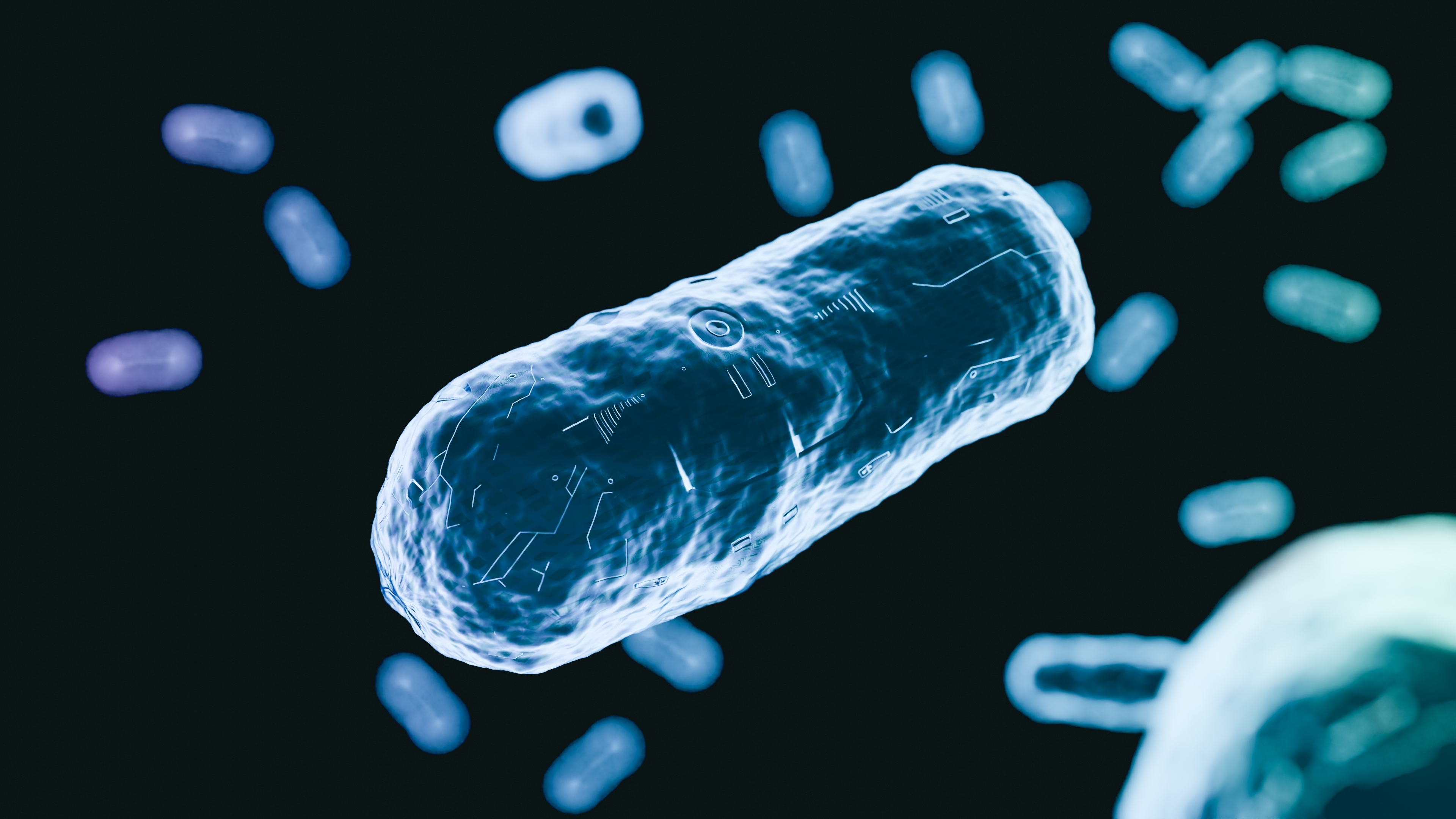 3D illustration of drug-resistant bacteria under a microscope, showing a close-up of a single bacterium with a digital circuit-like overlay symbolising artificial intelligence and biotechnology.