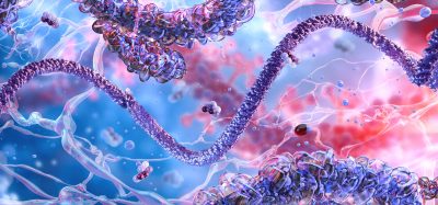 molecular or proteomic landscape