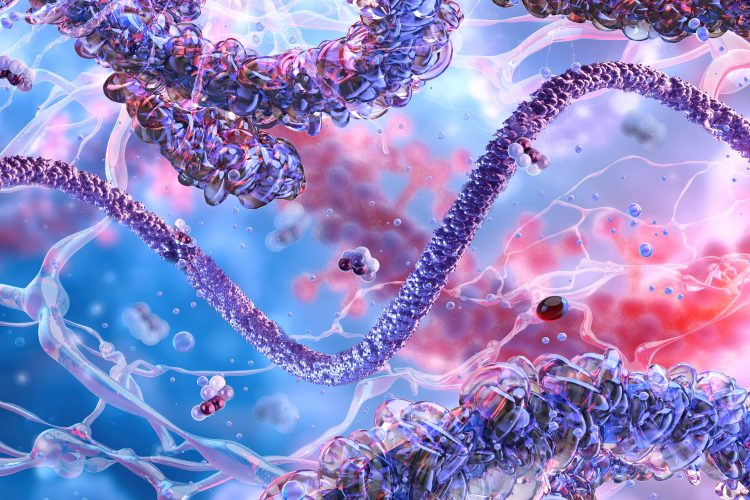 molecular or proteomic landscape