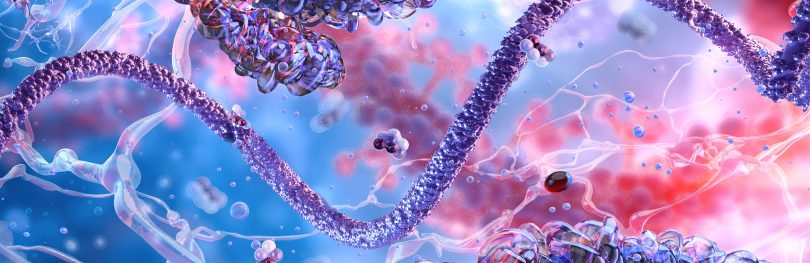 molecular or proteomic landscape