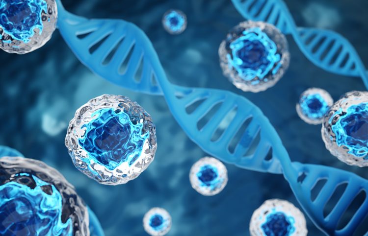 stem cells and DNA strand