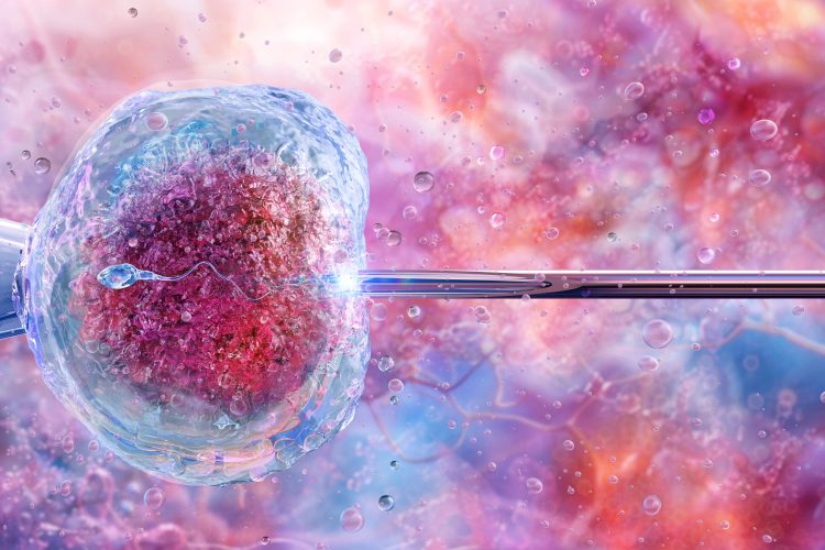 3D illustration of in vitro fertilisation showing a sperm cell being injected into a human egg under laboratory conditions