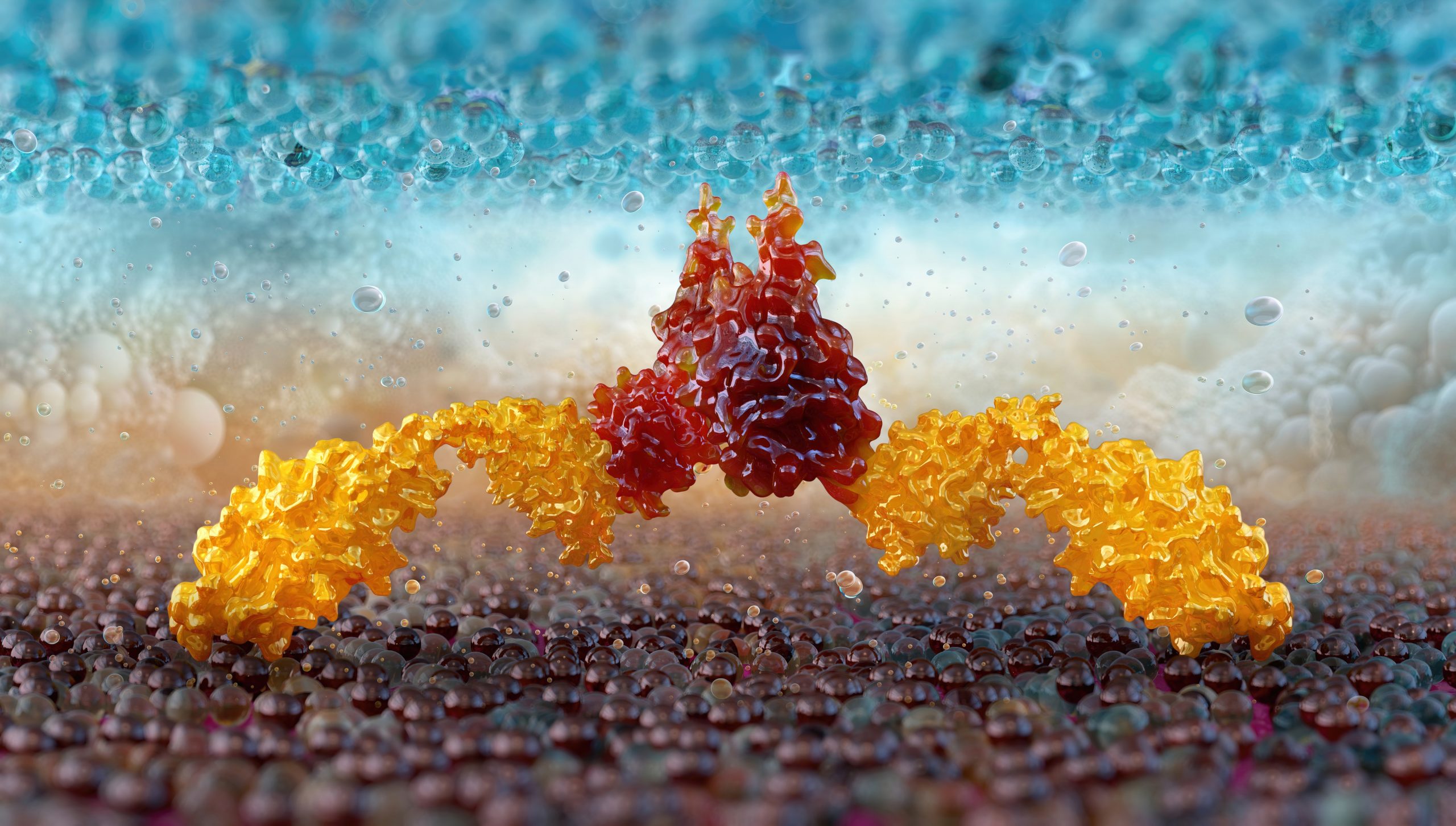 CAR T-cell therapy, cancer immunotherapy, 3D. Interaction between a T-cell or NK-cell and a tumor cell. Molecular interactions involving immune checkpoint molecules, receptors DNAM, TIGIT, Nectin, PVR