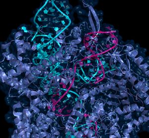 Charles River on-demand webinar CRISPR/Cas9 in Drug Discovery