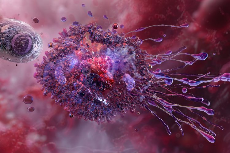 3D illustration of an activated immune cell, resembling a macrophage, attacking and engulfing a cancer cell within the tumor microenvironment, symbolizing macrophage checkpoint inhibition in cancer immunotherapy.