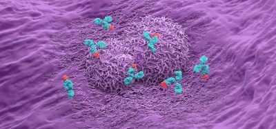 3D illustration of monoclonal antibodies (blue and red) binding to tumour cells (purple) within the tumour microenvironment, representing targeted cancer immunotherapy.