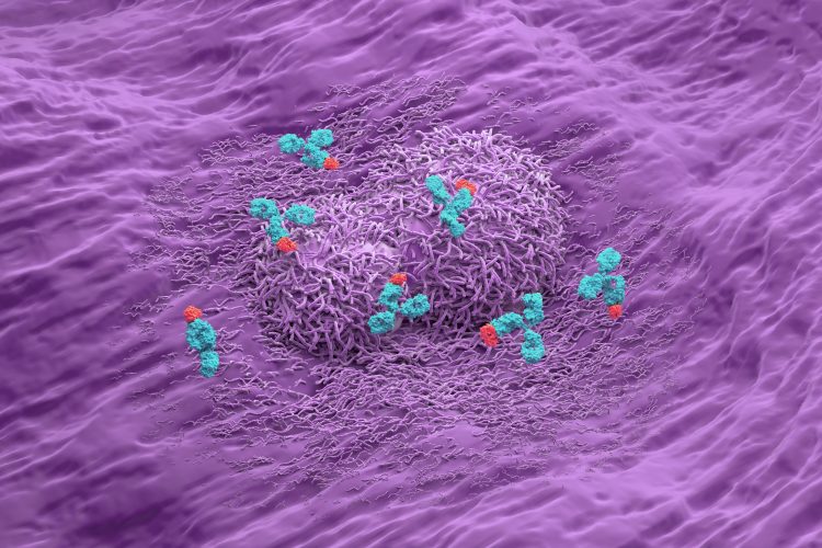3D illustration of monoclonal antibodies (blue and red) binding to tumour cells (purple) within the tumour microenvironment, representing targeted cancer immunotherapy.