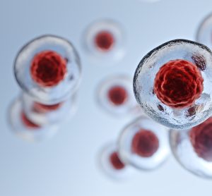 stem cell graphic