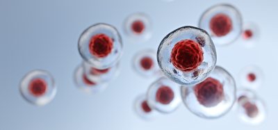 stem cell graphic