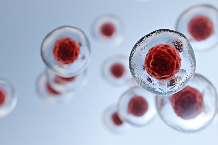 stem cell graphic