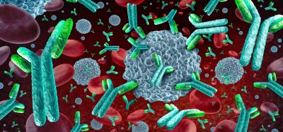 3D illustration of antibodies interacting with immune cells and red blood cells, representing targeted immunotherapy and T-cell engager mechanisms in cancer treatment.