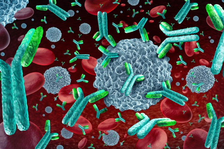 3D illustration of antibodies interacting with immune cells and red blood cells, representing targeted immunotherapy and T-cell engager mechanisms in cancer treatment.