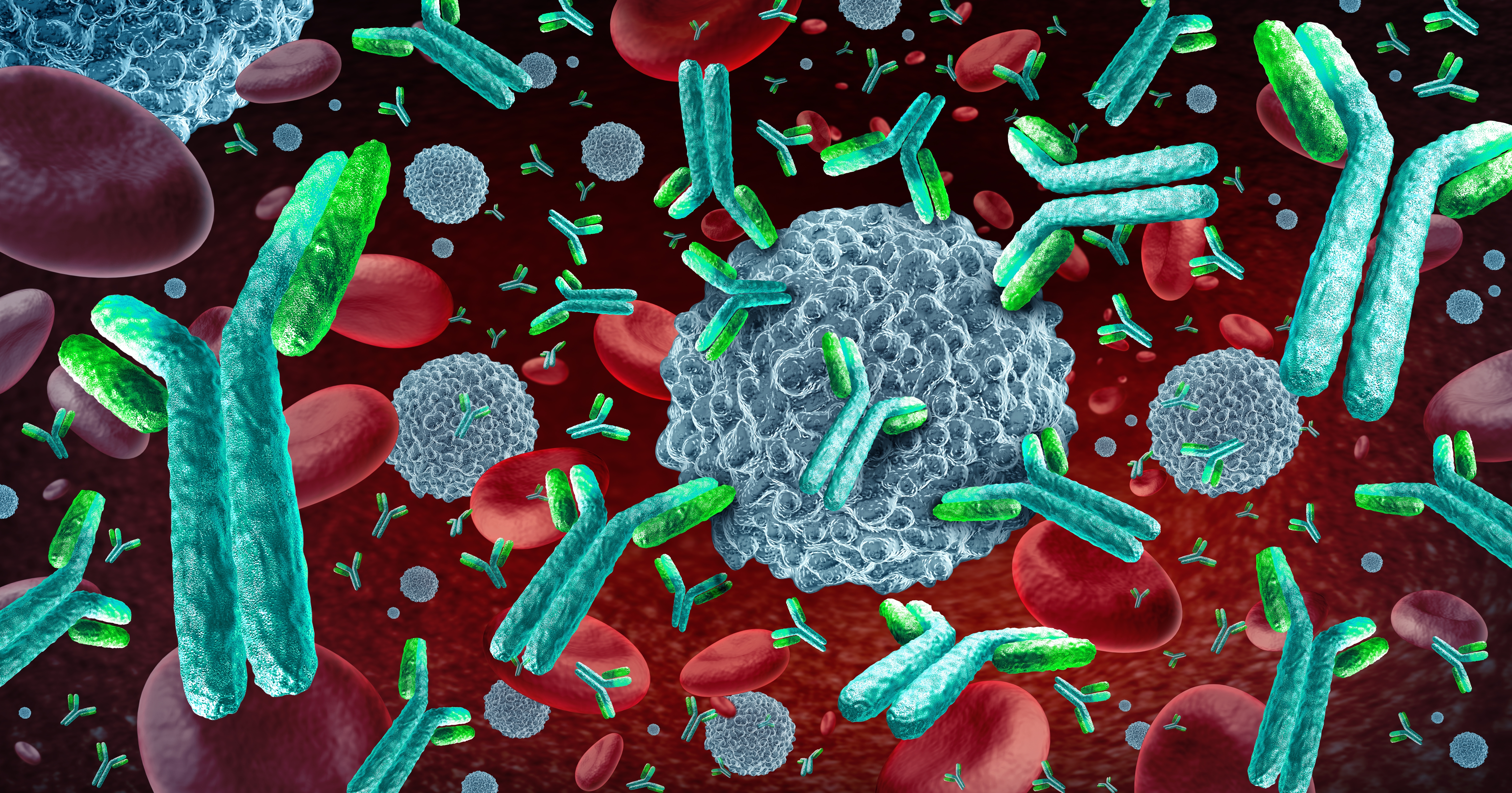 3D illustration of antibodies interacting with immune cells and red blood cells, representing targeted immunotherapy and T-cell engager mechanisms in cancer treatment.