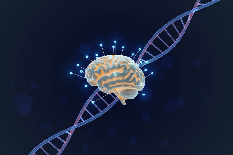Illustration of a human brain with a DNA helix, representing gene expression changes in neuroscience research