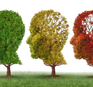 Two new genes linked to Alzheimer's risk