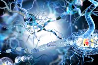 3D illustration of damaged neurons with disrupted myelin sheaths, representing neurodegeneration in conditions such as Alzheimer’s disease.