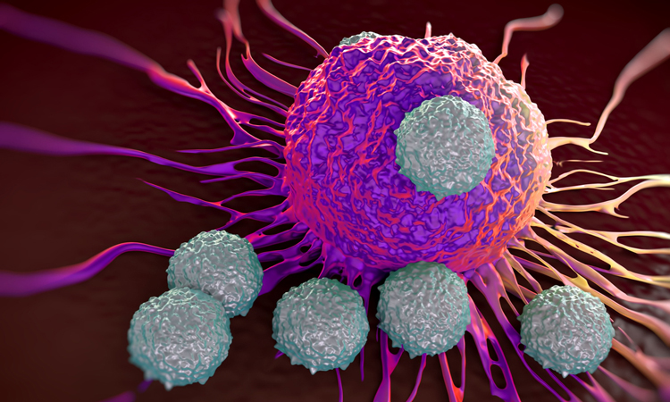 New T-cell therapy could provide universal cancer treatment