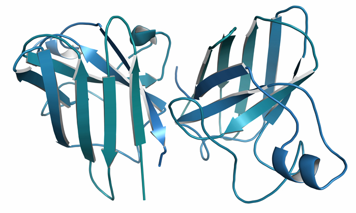 Protein associated with ALS points to possible targets for therapeutic intervention