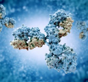 Blue antibody