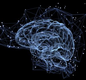 Brain connections - involved in cocaine addiction