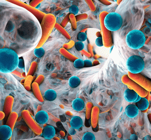 image depicting antibiotics activity