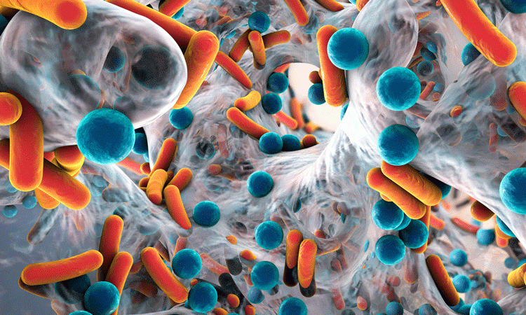 image depicting antibiotics activity