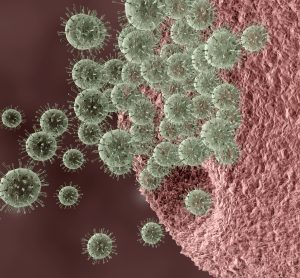 multidrug resistance