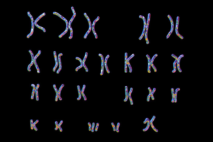 DNA