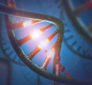 RNA