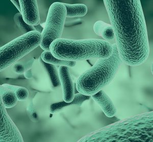 Antibiotic