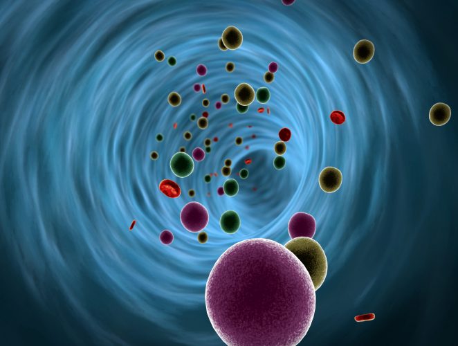 3D illustration of drugs in a blood, drugs inside the blood vessel, insulin and leukocytes inside the blood vessel, Coronavirus in the blood