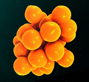 Cytokines,3d,Illustrations