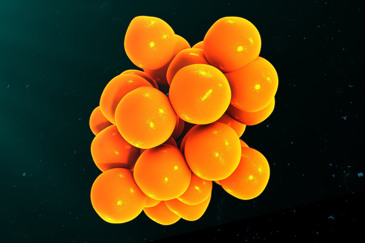 Cytokines,3d,Illustrations