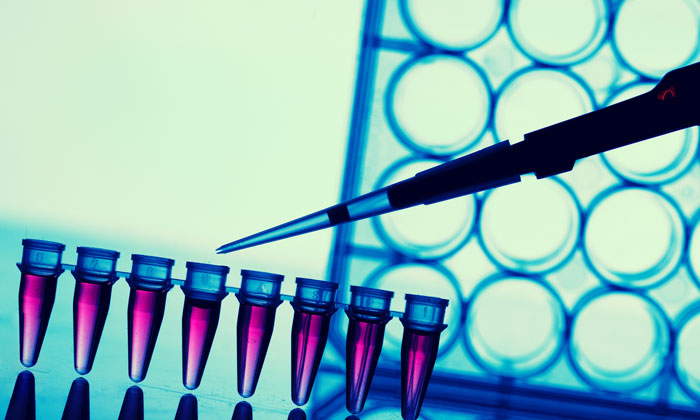 High Throughput Screening capable assays in 3D