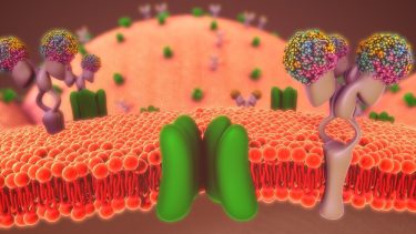 Membrane proteins