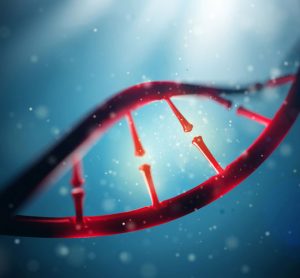 Phenogenetic