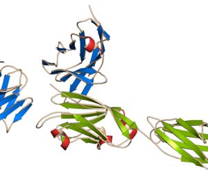 Study suggests PD-1 inhibitors against aggressive pediatric brain cancer subtype