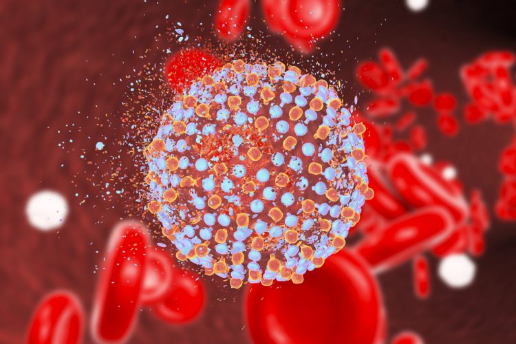 Hepatitis c virus