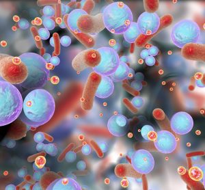 Biofilm of antibiotic resistant bacteria