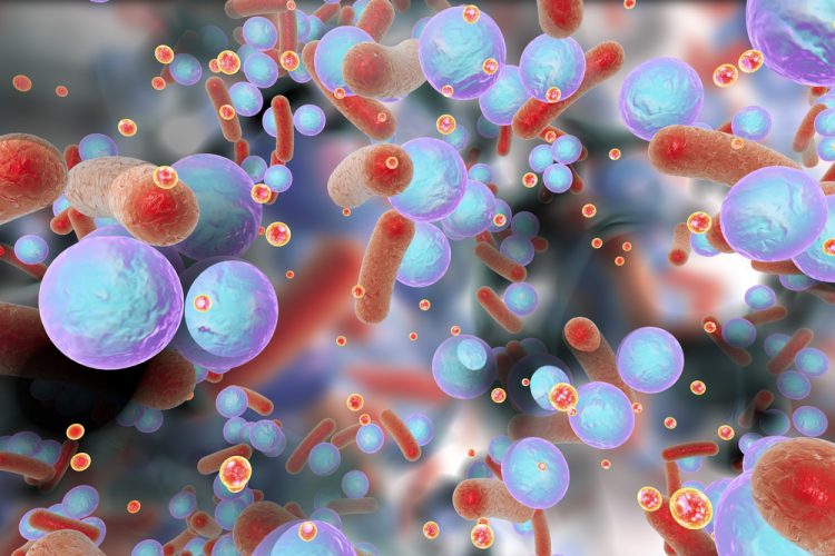 methicillin-resistant Staphylococcus aureus (MRSA) - News, Articles, Whitepapers - Drug Target Review
