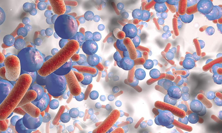 Bacterial on antibacterial film