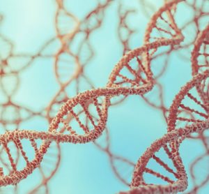 CRISPR