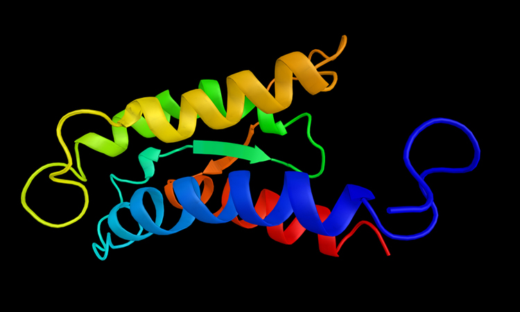 Interleukin-2